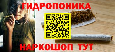 гидра Анжеро-Судженск