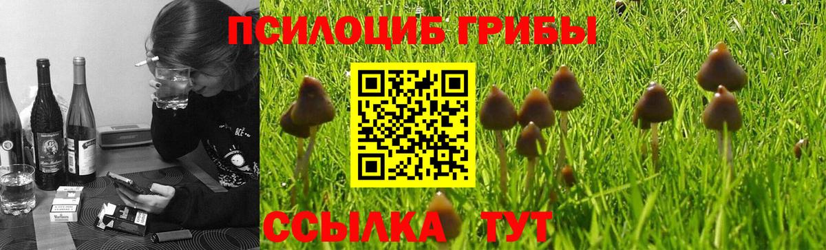 Галлюциногенные грибы Magic Shrooms  где найти наркотики  Галлюциногенные грибы MAGIC MUSHROOMS  Омск  Вход с VPN 